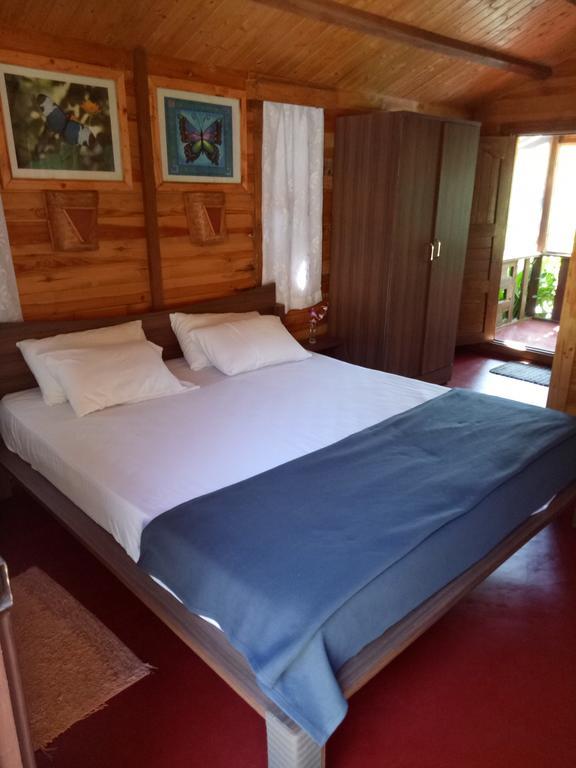 Blue Planet 3* Agonda