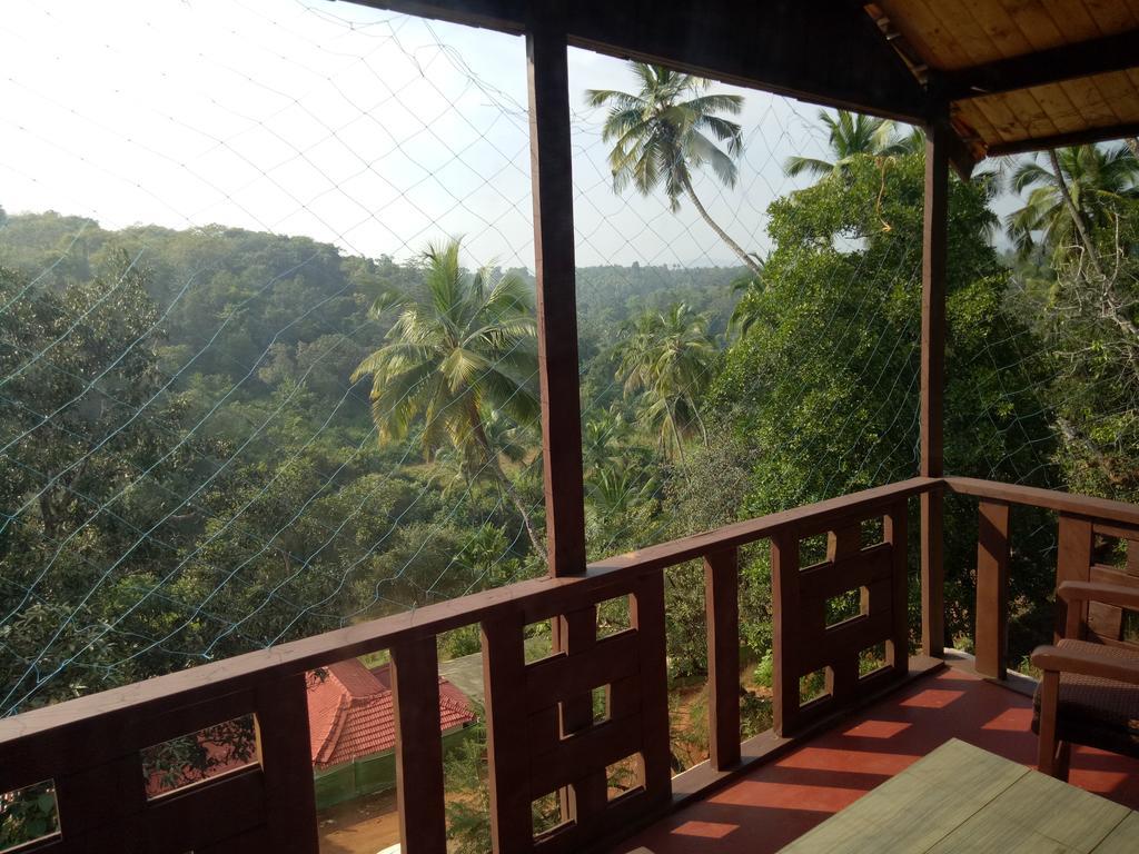 Blue Planet Agonda