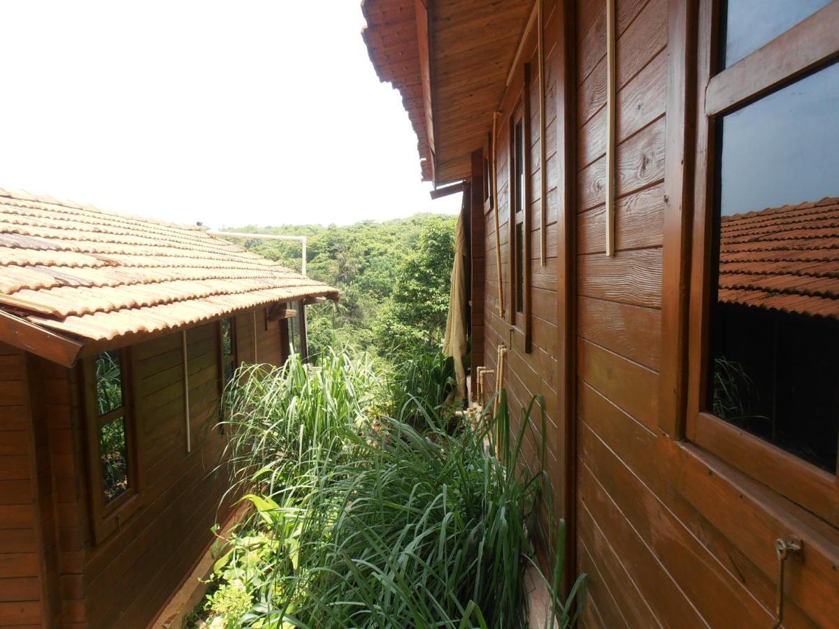 Blue Planet 3* Agonda